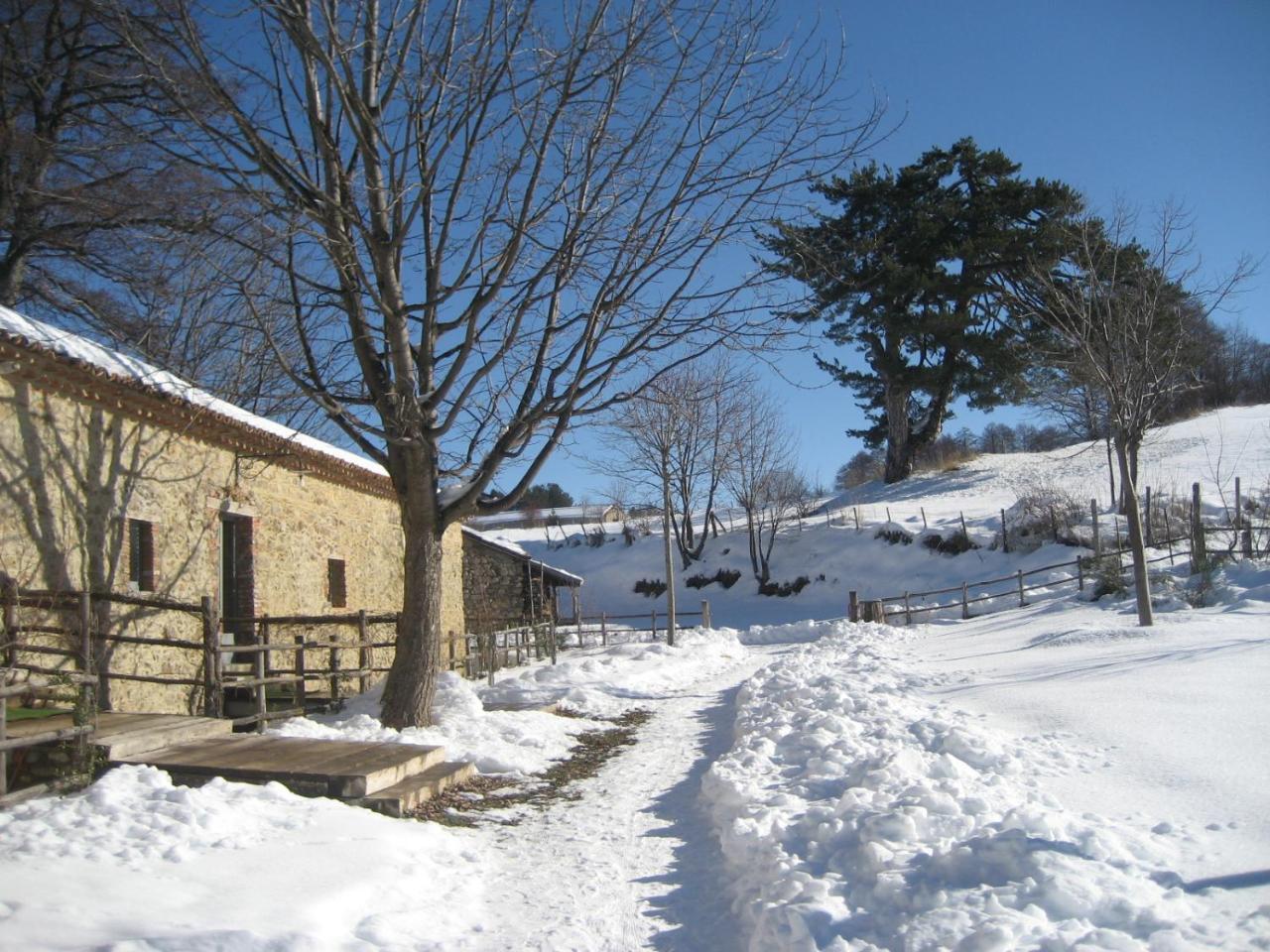 Hotel Torre Camigliati Dimora Storica à Camigliatello Silano Extérieur photo
