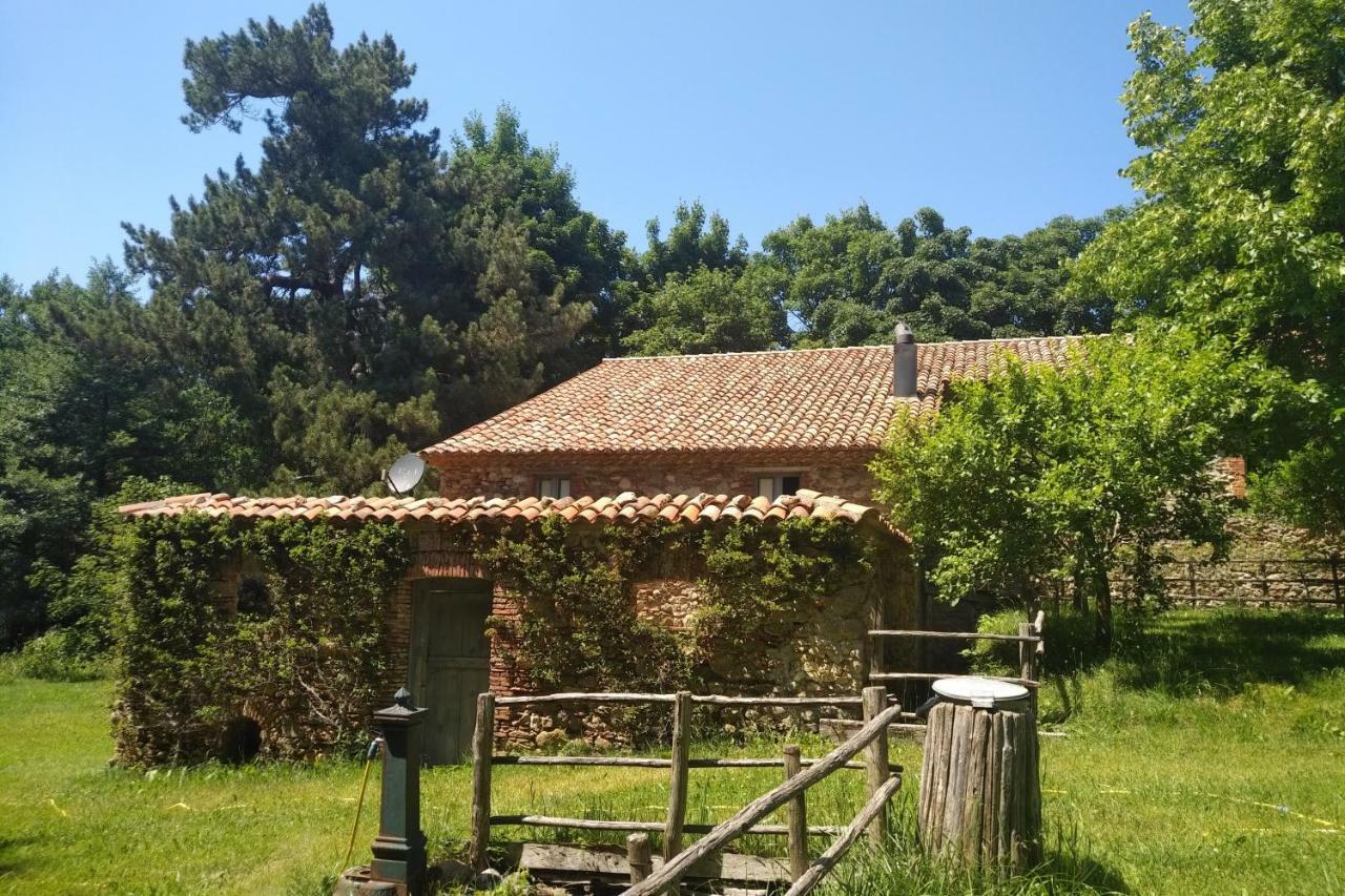 Hotel Torre Camigliati Dimora Storica à Camigliatello Silano Extérieur photo